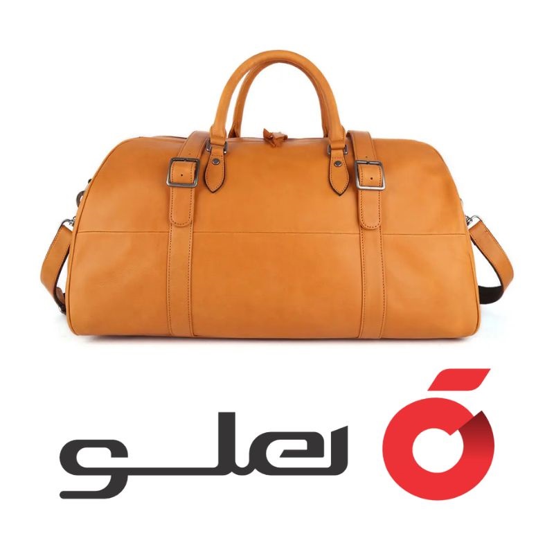 نرم افزار حسابداری دباغی هلو APEX